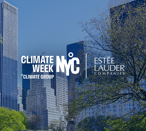 Semana del Clima en Nueva York