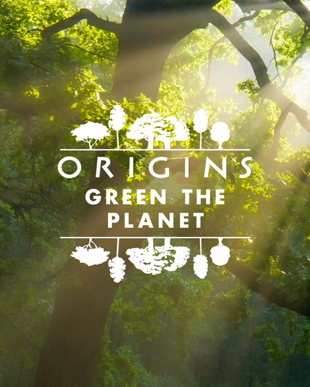 Campagne Origins Plant-A-Tree